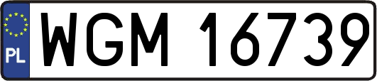 WGM16739