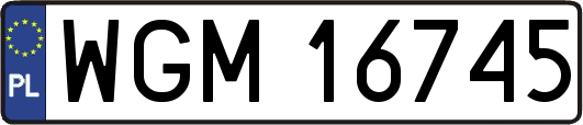 WGM16745