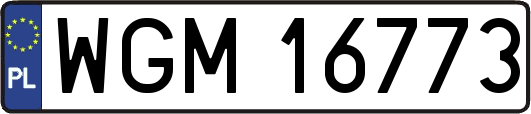 WGM16773