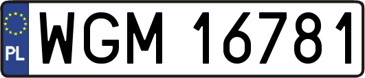 WGM16781