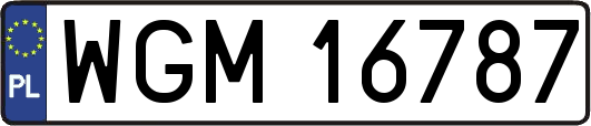 WGM16787