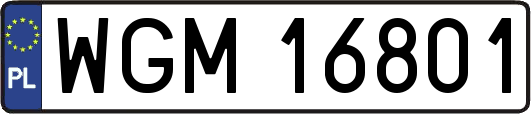 WGM16801