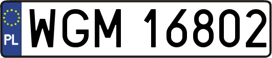 WGM16802