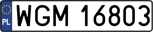 WGM16803