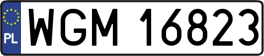 WGM16823