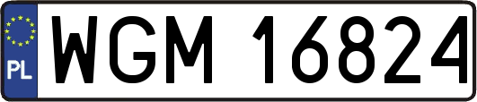 WGM16824