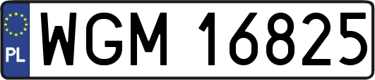 WGM16825