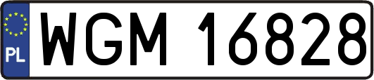 WGM16828