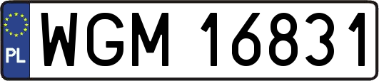 WGM16831