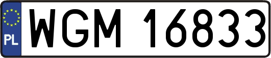 WGM16833