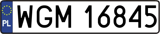 WGM16845