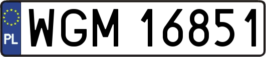 WGM16851