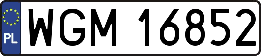 WGM16852