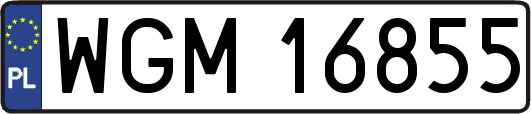 WGM16855