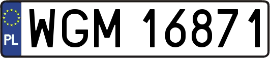 WGM16871