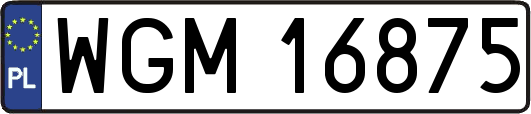 WGM16875