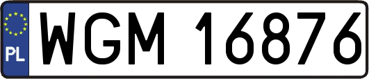 WGM16876