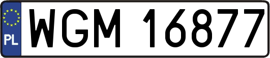 WGM16877