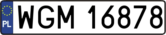 WGM16878