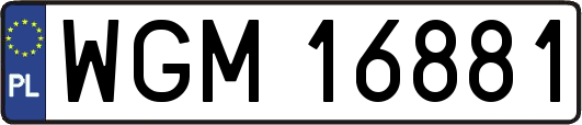 WGM16881