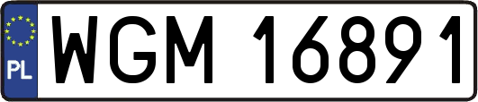 WGM16891