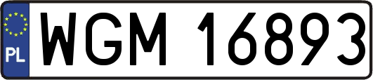 WGM16893