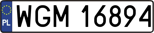 WGM16894