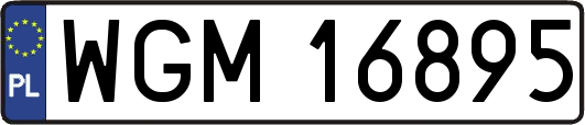 WGM16895