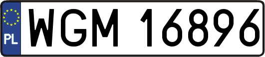 WGM16896