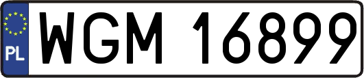 WGM16899