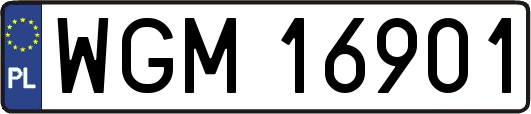 WGM16901