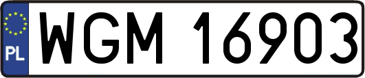 WGM16903