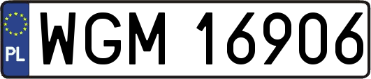WGM16906