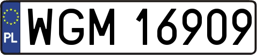 WGM16909