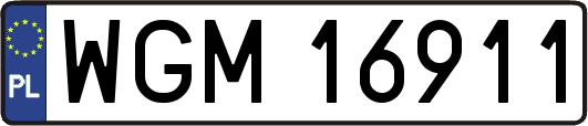 WGM16911