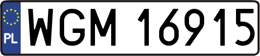WGM16915