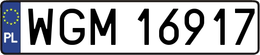 WGM16917