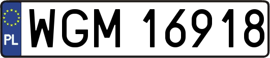 WGM16918