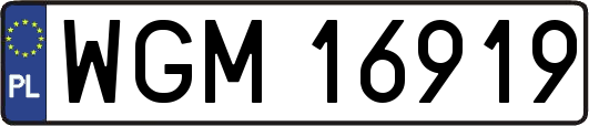 WGM16919