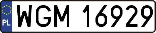 WGM16929