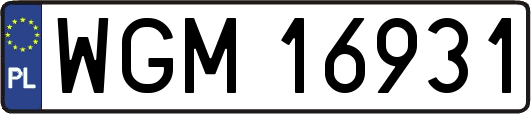 WGM16931