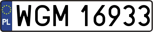WGM16933