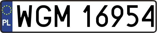 WGM16954