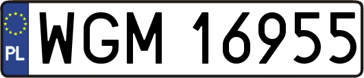 WGM16955