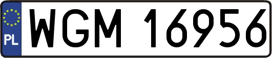 WGM16956
