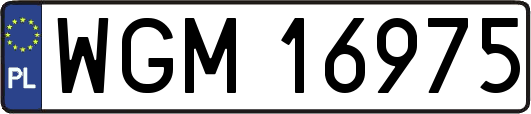WGM16975