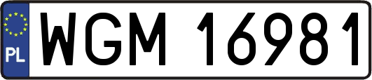 WGM16981