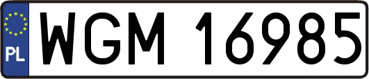 WGM16985
