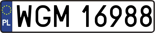 WGM16988
