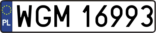 WGM16993